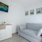 Pelargonia マカルスカ