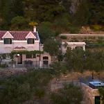 Pelargonia * マカルスカ