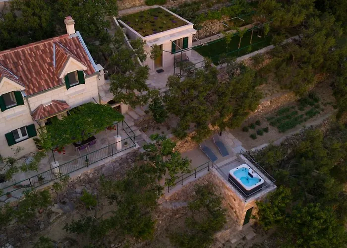 Pelargonia * Макарська